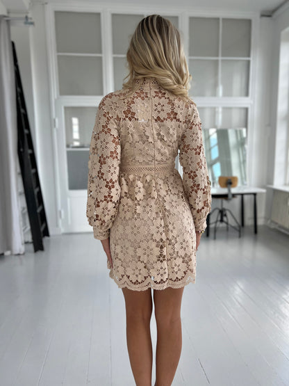 Flam beige short lace dress (8553) fra webshoppen Aaberg Copenhagen