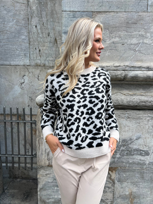 Gracielle leopard sweater (8557)