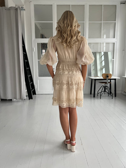 Azaka beige lace dress (3317)